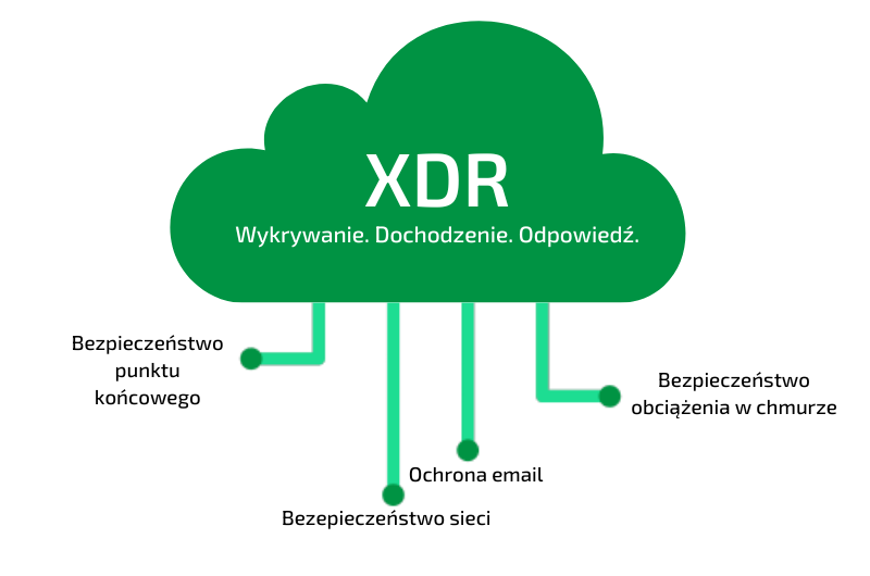 XDR_grafika_800x530